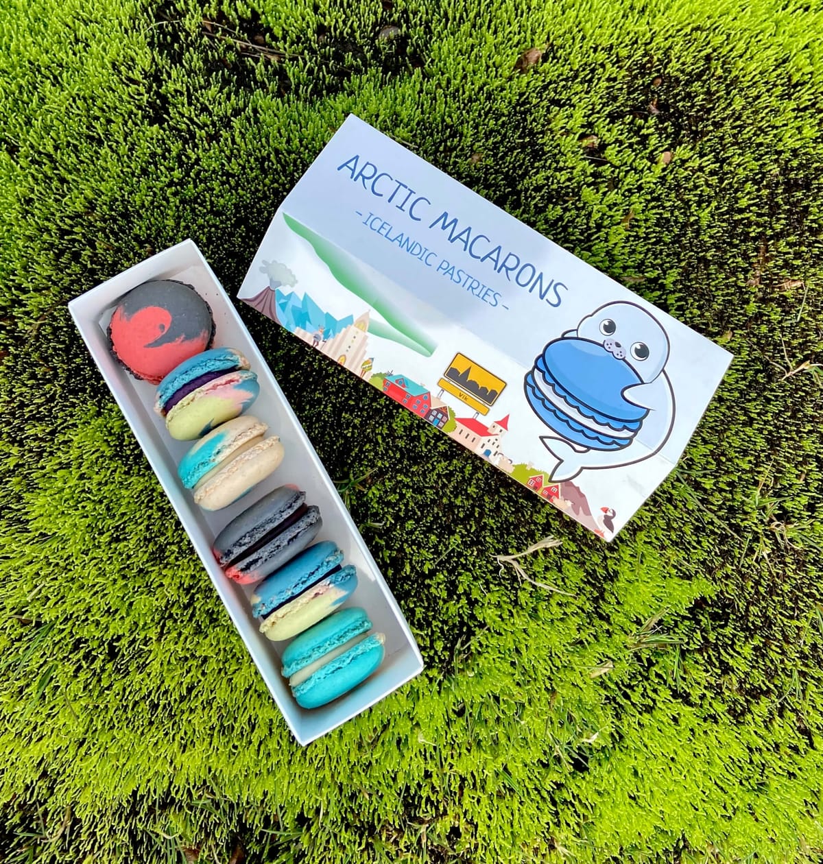 Discover Arctic Macarons: A Sweet Stop in Vík on Iceland's South Coast