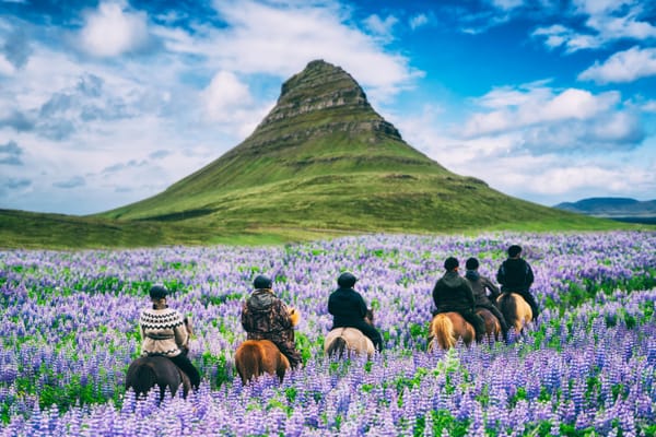 What to Expect in Iceland During Spring: Weather, Wildlife & More