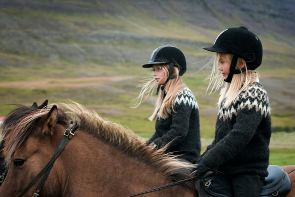 Discover the Icelandic Lopapeysa: Hand-Knitted Heritage You Can Wear